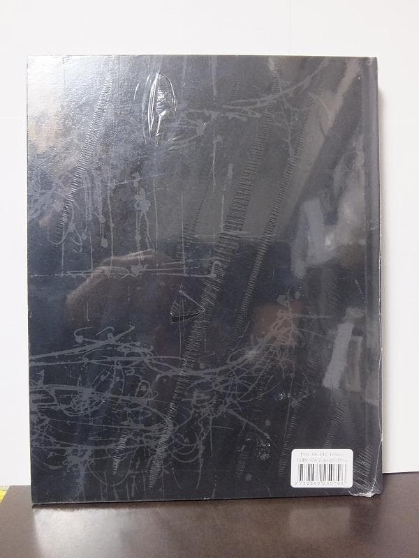 イ・ブル LEE BUL:ON EVERY NEW SHADOW /未開封洋書!