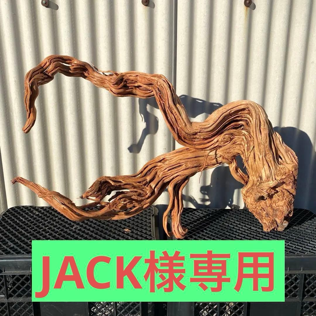 「JACK」MTW-6527 特大蔦流木　天然流木　アクアリウム