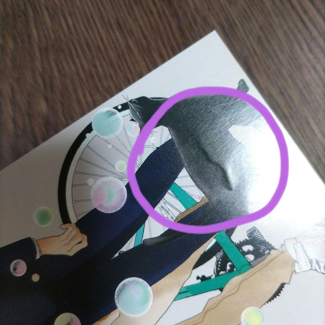 波真田かもめ「おはようとおやすみとそのあとに」特典 27点