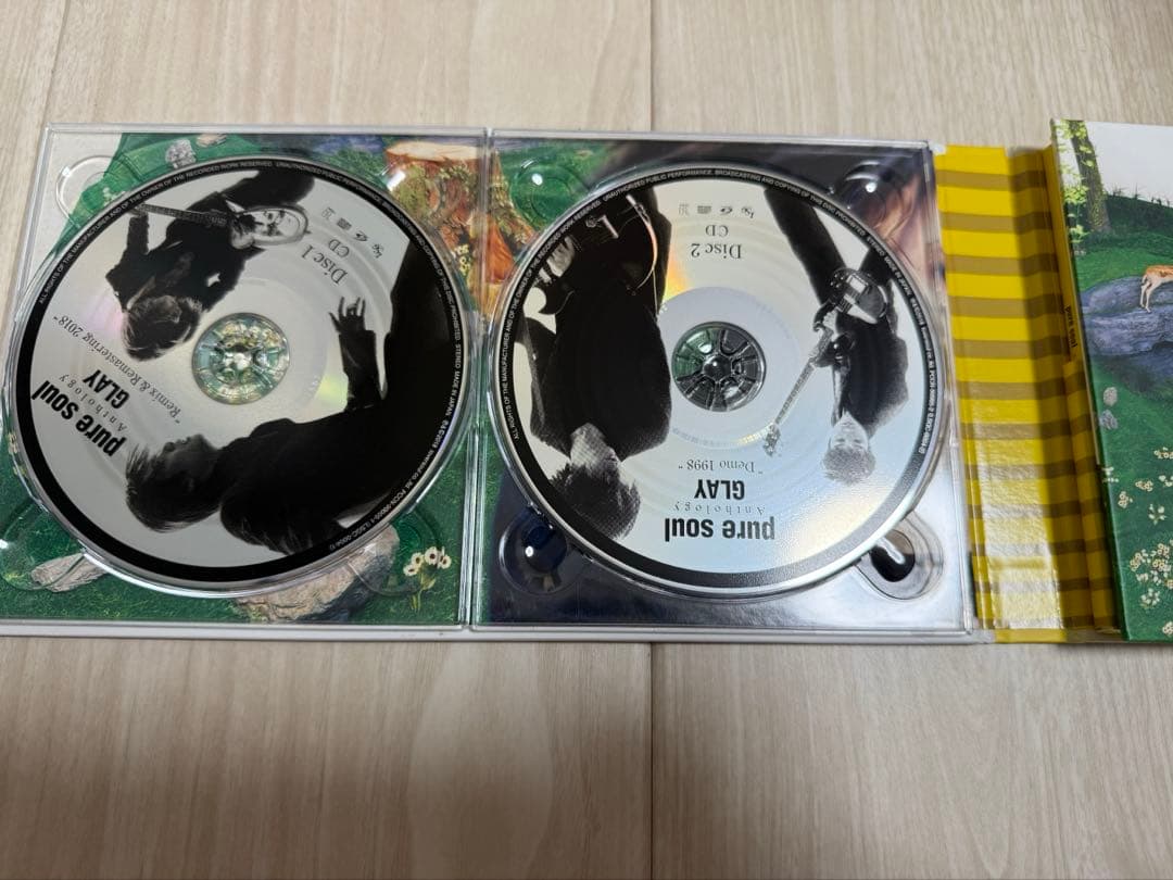 邦楽 GLAY pure soul Anthology