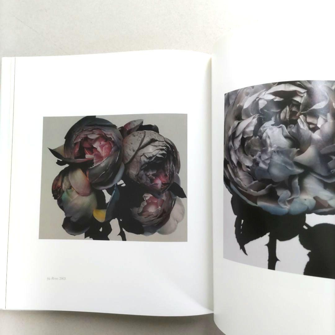 Nick Knight/ニック・ナイト 写真集 作品集 アートブック