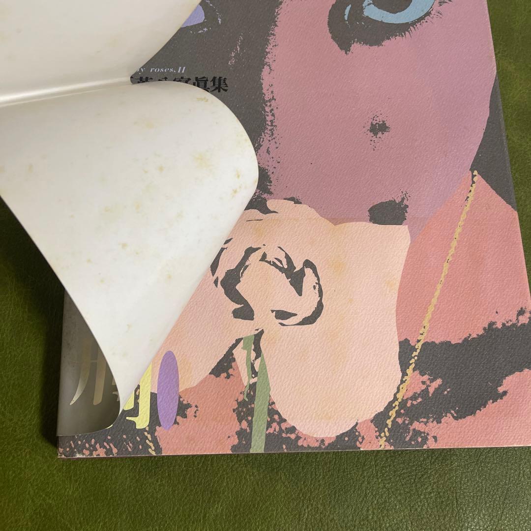 薔薇刑　細江英公　三島由紀夫　BARAKEI 新版　寫眞集　三島由紀夫　集英社