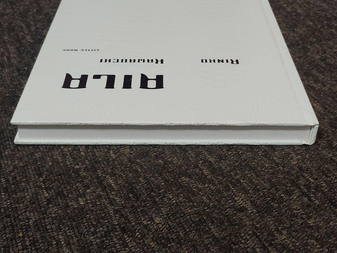 アート・デザイン・音楽 AILA Rinko Kawauchi LITTLE MORE