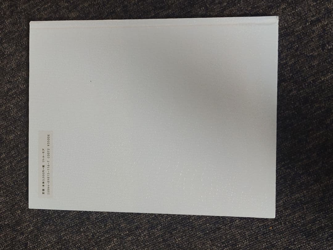 アート・デザイン・音楽 AILA Rinko Kawauchi LITTLE MORE