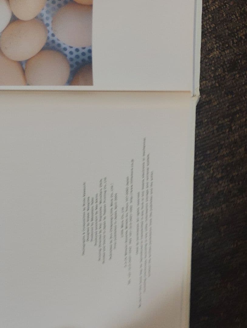 アート・デザイン・音楽 AILA Rinko Kawauchi LITTLE MORE