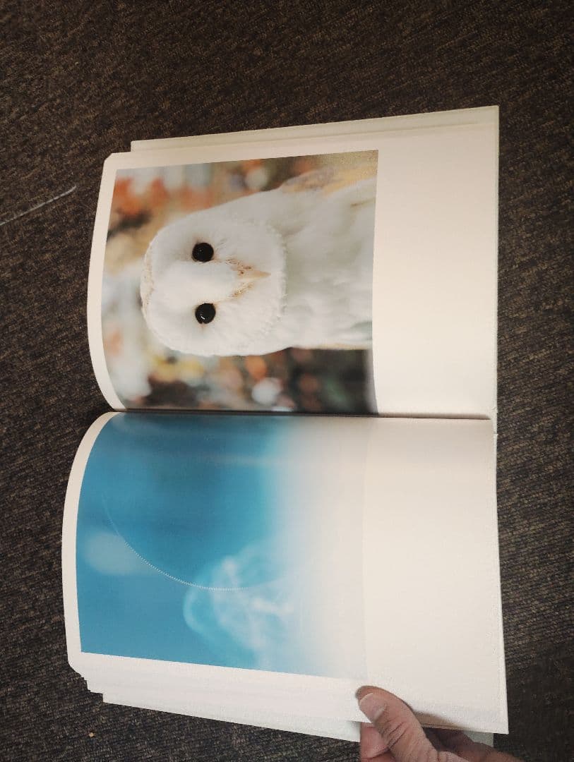 アート・デザイン・音楽 AILA Rinko Kawauchi LITTLE MORE