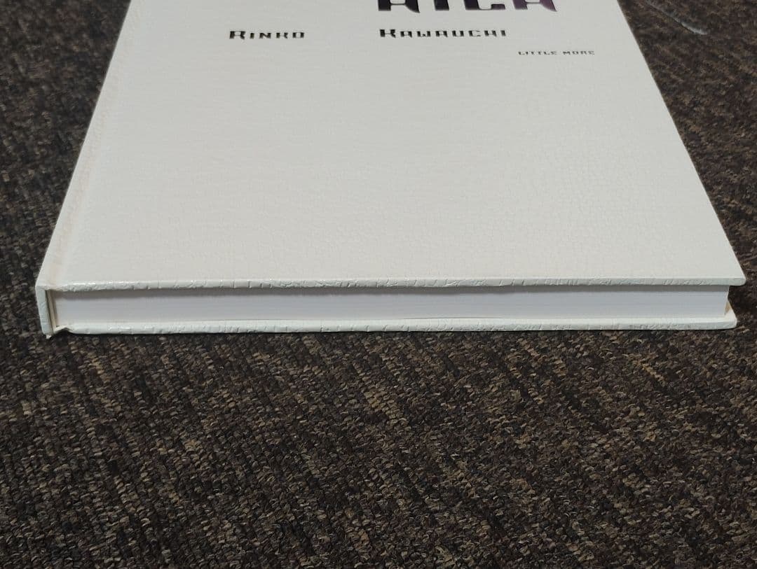 アート・デザイン・音楽 AILA Rinko Kawauchi LITTLE MORE