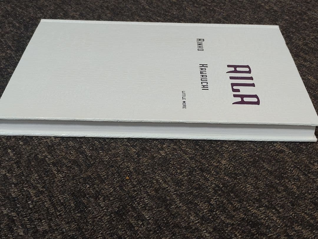 アート・デザイン・音楽 AILA Rinko Kawauchi LITTLE MORE