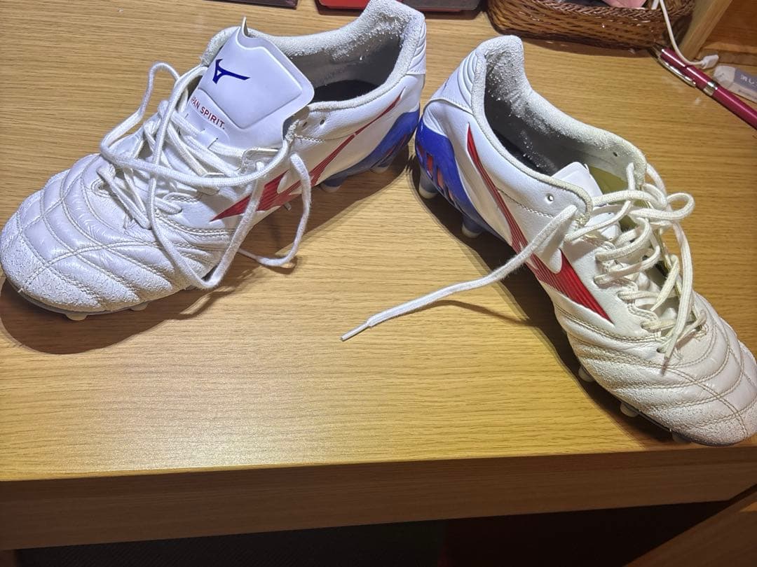 ミズノモナルシーダネオ2Japan