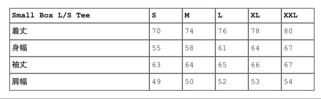 『Supreme /シュプリーム』 Small Box Logo Tee XL