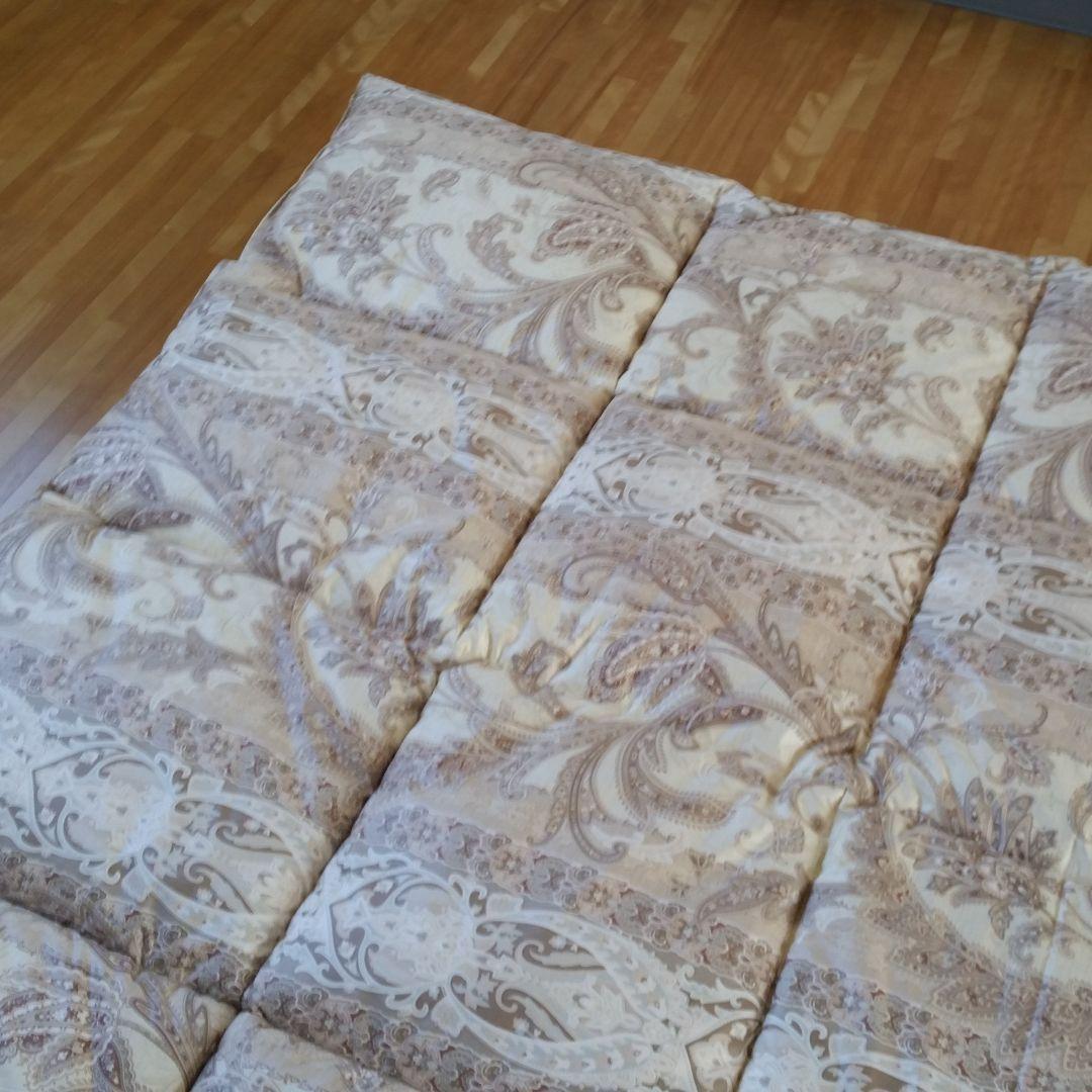 高級 ホテル仕様 羽毛を越えた 丸洗い 抗菌 防臭 掛け布団 2枚セット 日本製