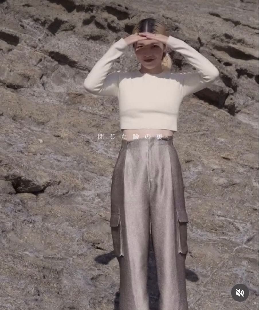 Glitter Cargo Pants anuke 【size36】beige