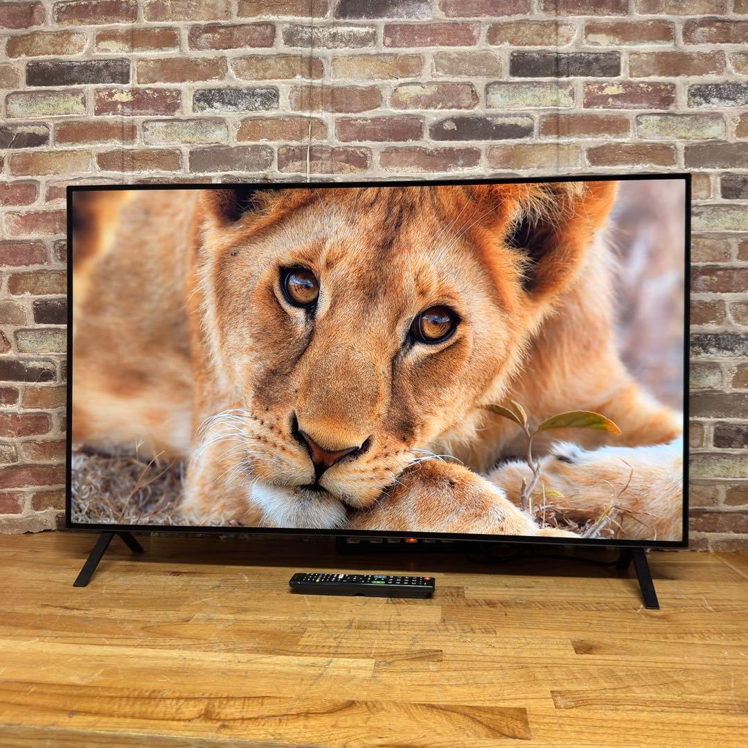 LG 48インチ 4K 有機ELテレビ OLED48A2PJA 動画アプリ搭載