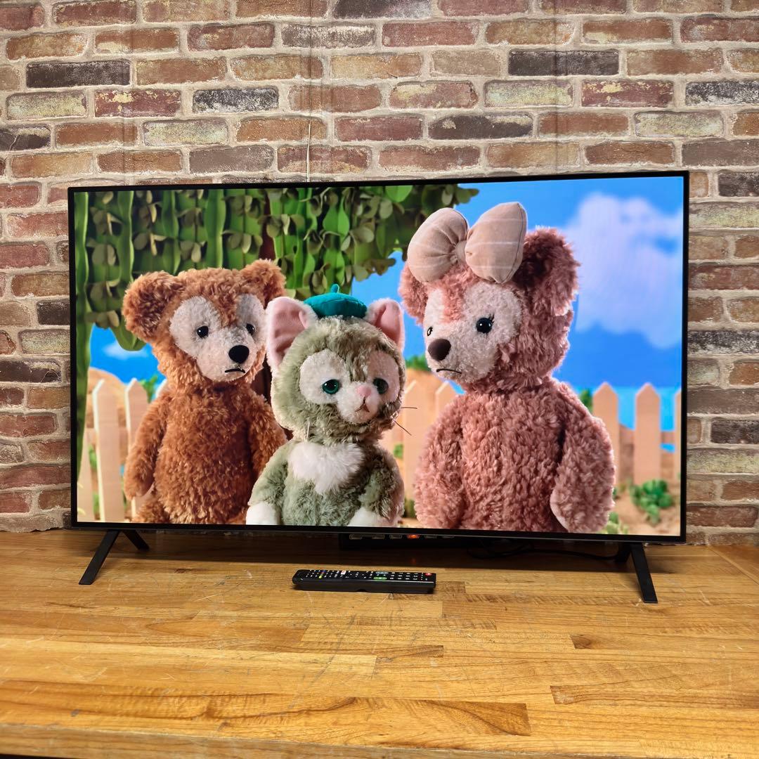 LG 48インチ 4K 有機ELテレビ OLED48A2PJA 動画アプリ搭載