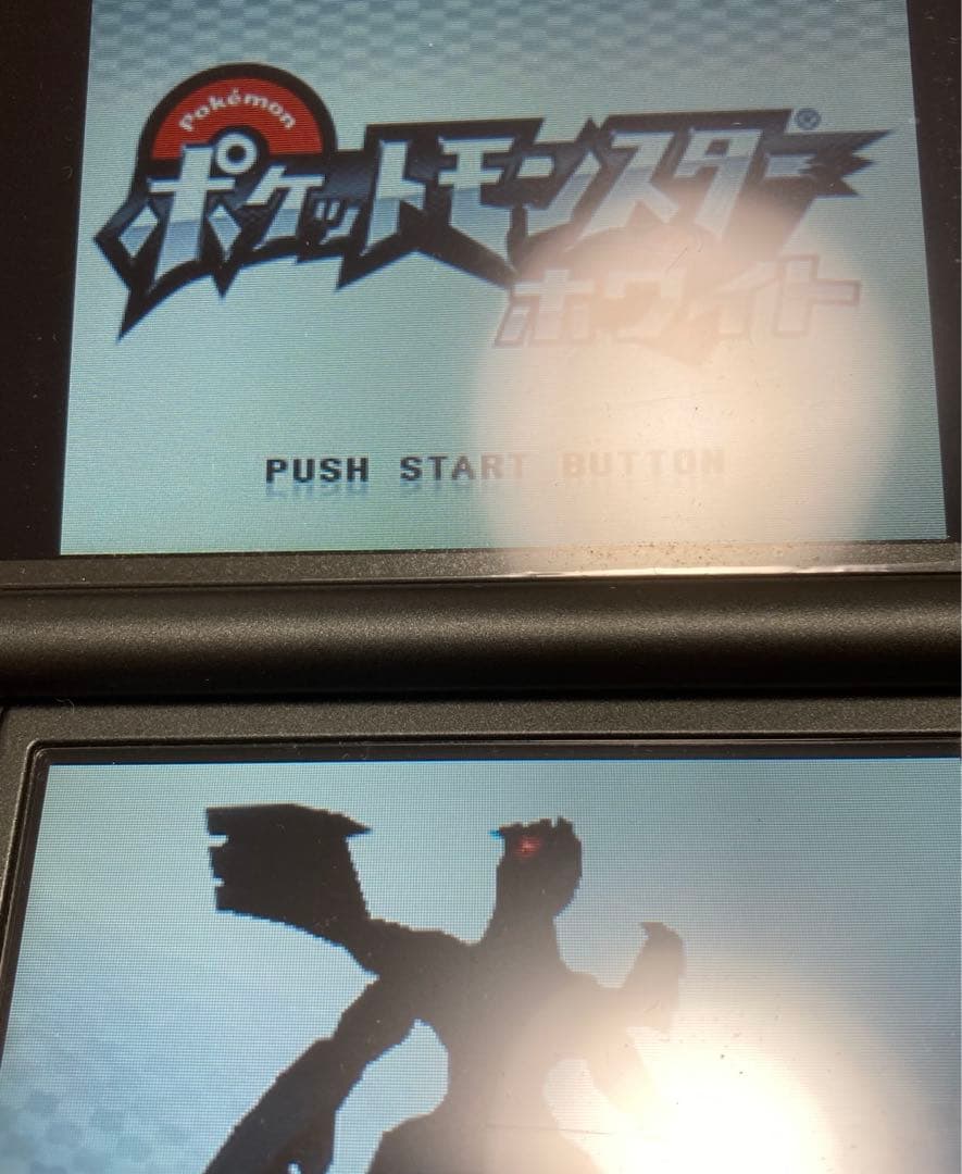 ポケモン DS 3DS パール ブラック X サン ハートゴールド パルパーク