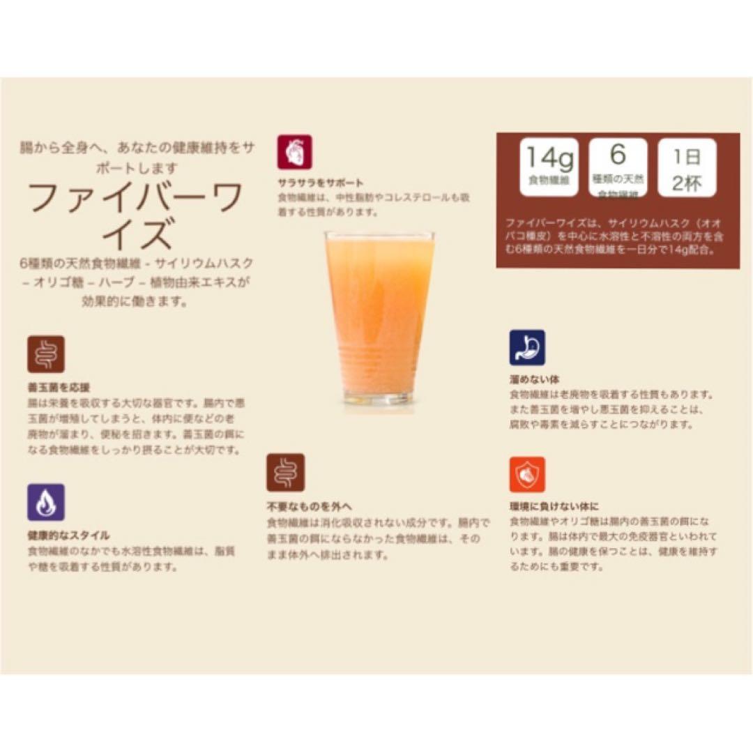 【新品】メラルーカ ファイバーワイズ 糖類無添加 シトラスオレンジ〔2個〕