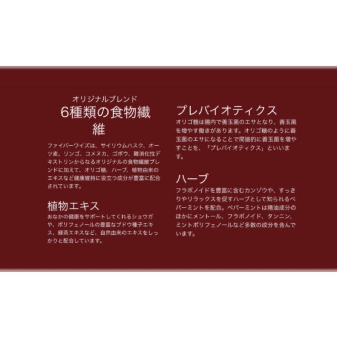 【新品】メラルーカ ファイバーワイズ 糖類無添加 シトラスオレンジ〔2個〕