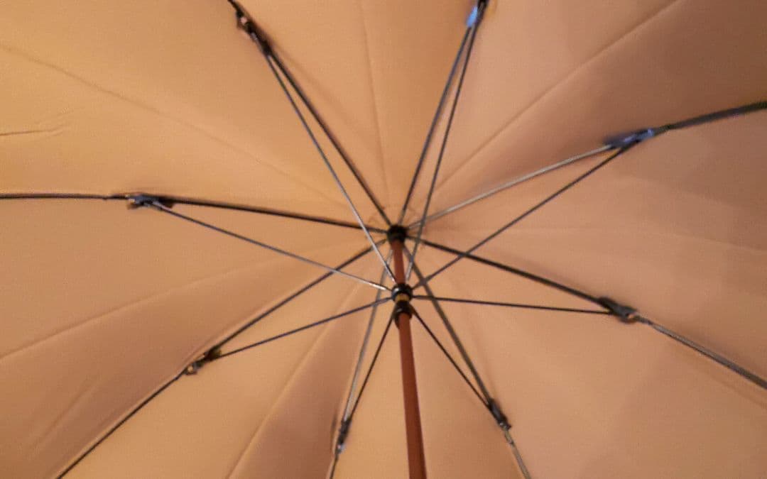 最終 プライス 9月28日迄 超値引!一点物美品】CELINE 傘 ロゴ入