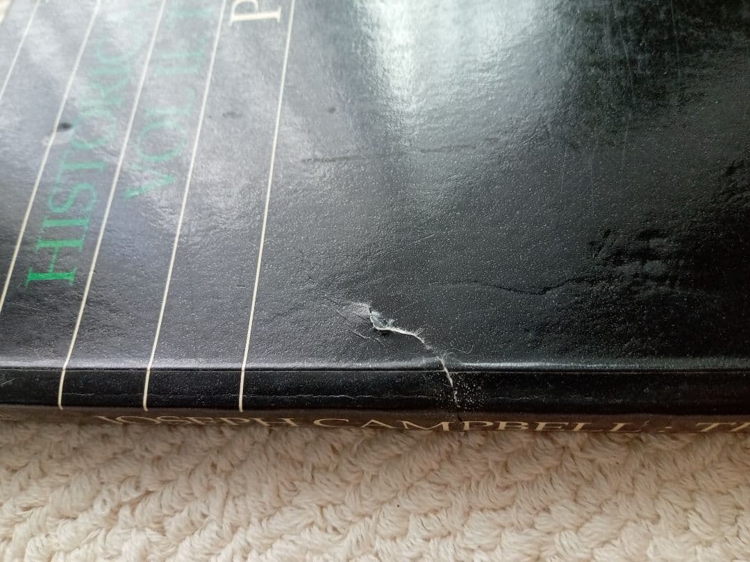 ジョーゼフ・キャンベル The Way of the Seeded Earth