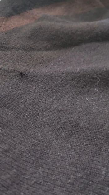 1739 tamaki niime ウール×コットン tarun pants 3