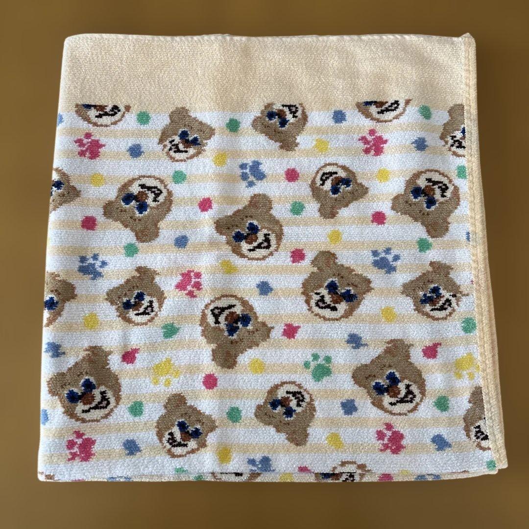 フェイラー　プティバス　ラブラリー♡テディ