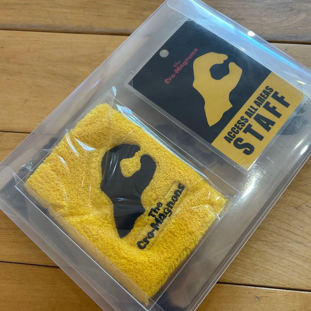 ☆クロマニヨンズ☆DVD MONDO ROCCIA 初回生産限定盤