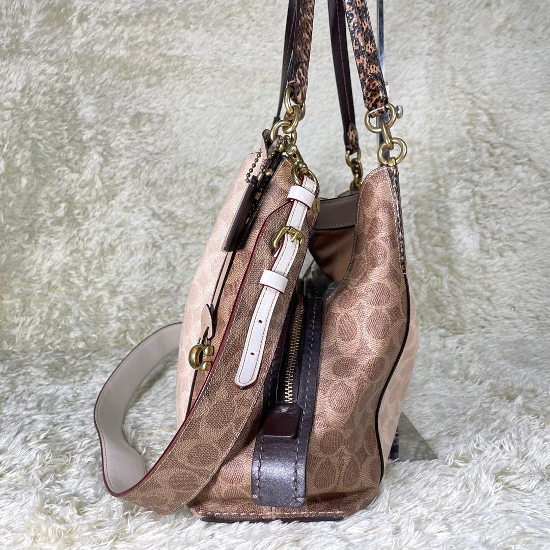 レア❗️コーチ ダルトン 31 ブロック シグネチャー スネークスキン ディテール