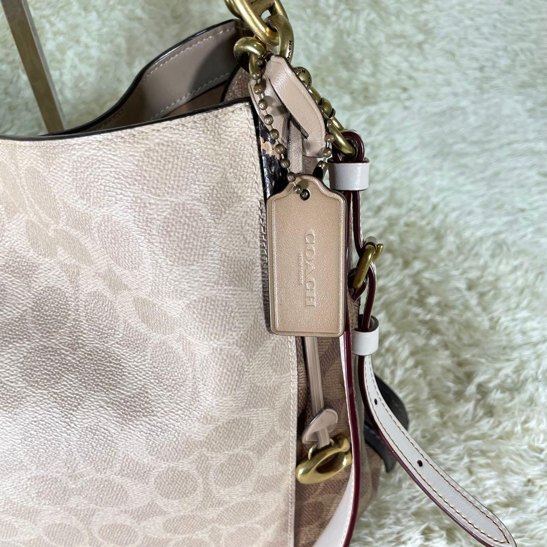 レア❗️コーチ ダルトン 31 ブロック シグネチャー スネークスキン ディテール