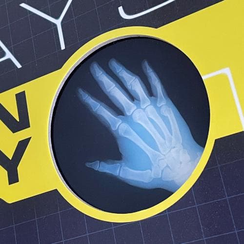 洋書【解剖学・骨格がわかる】レントゲン遊び　AMAZING X-RAYS　人体