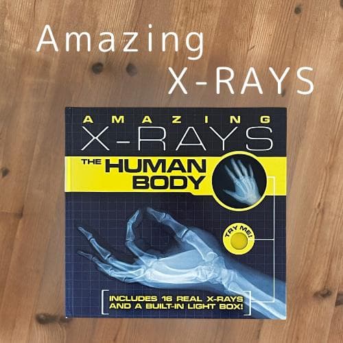 洋書【解剖学・骨格がわかる】レントゲン遊び　AMAZING X-RAYS　人体