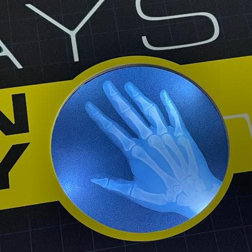 洋書【解剖学・骨格がわかる】レントゲン遊び　AMAZING X-RAYS　人体