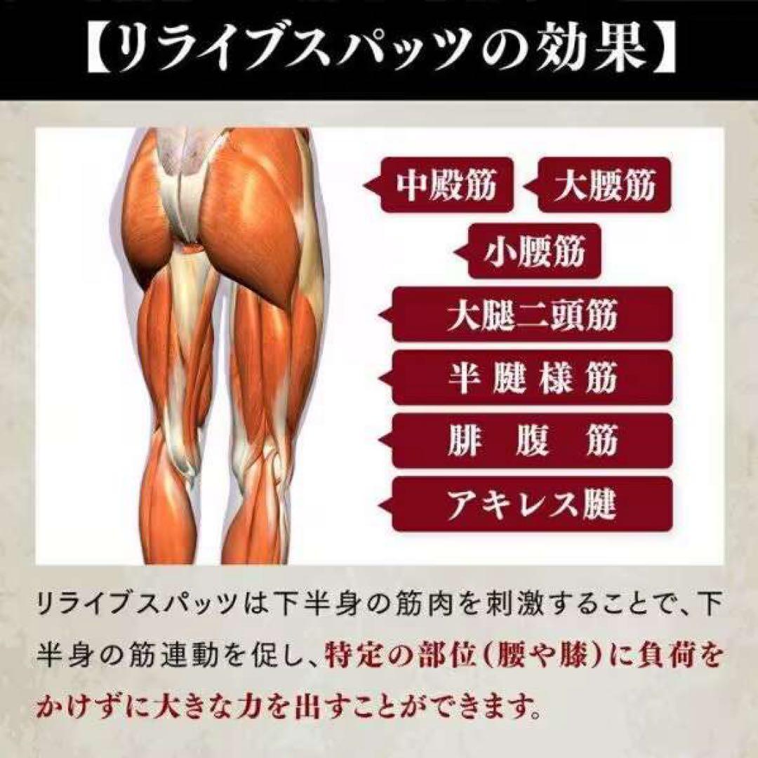 リライブ シャツ コットン 長袖無地 & メンズ スパッツ 上下セット L