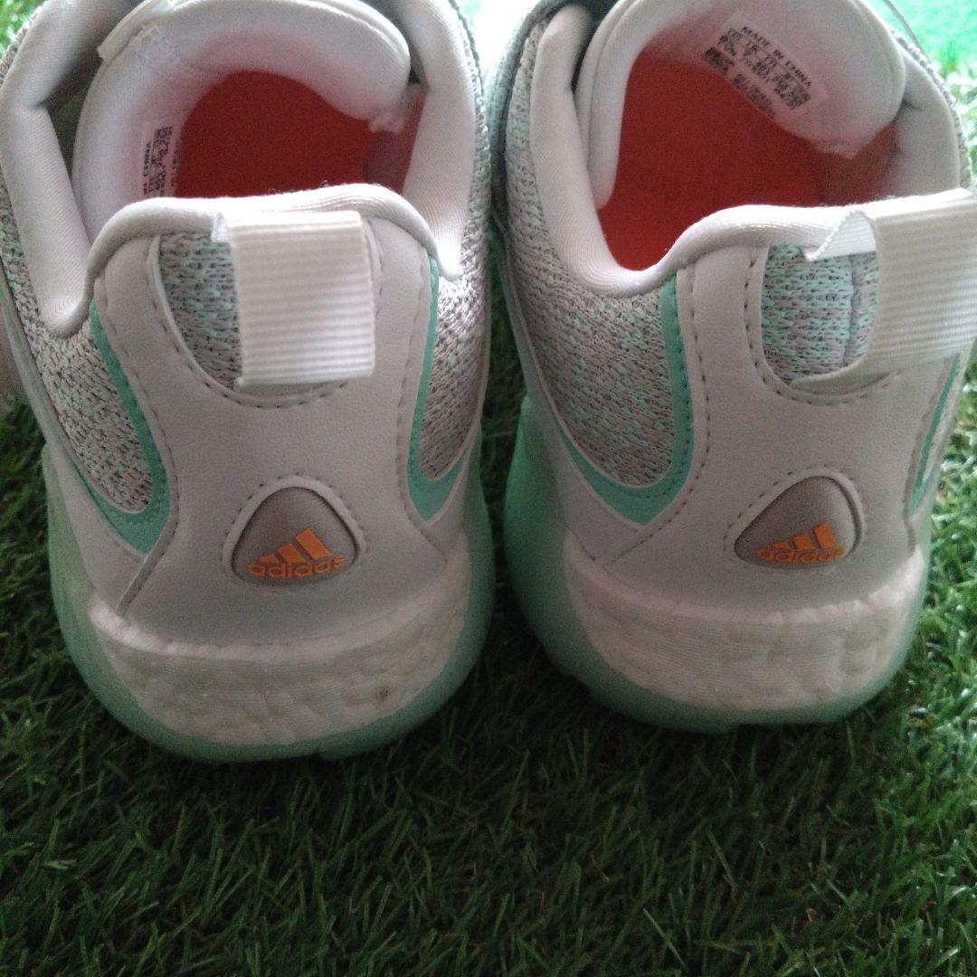 adidas ゴルフシューズ コードカオス 25cm