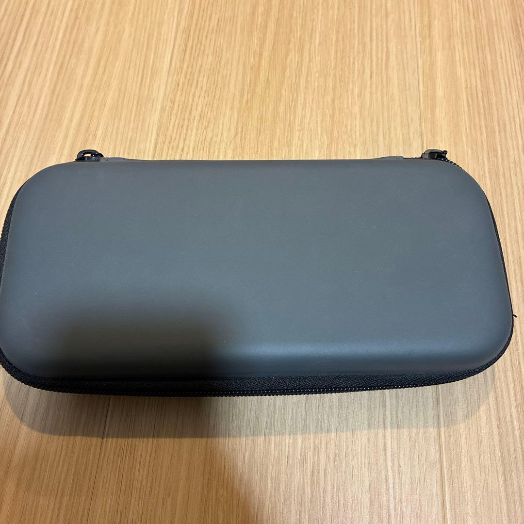 Nintendo Switch Lite グレー 本体とソフト付き