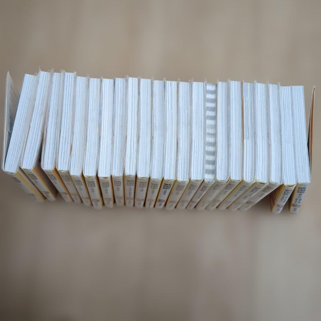 戦国姫 全22冊セット　 藤咲あゆな