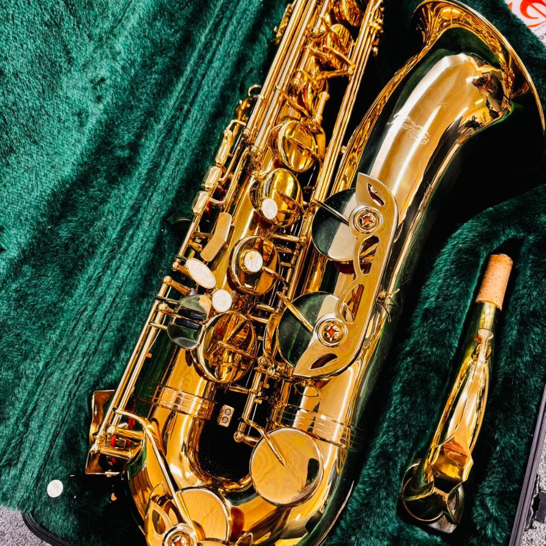 kaerntner アルトサックス サックス 管楽器 ケース付き