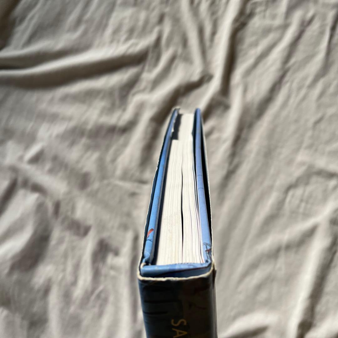 SARAH SZE 洋古書 サラ・ジー