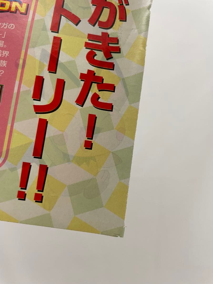 アニメディア　リザードン　サトシ　記事　切抜き　ポケモン　アニメ