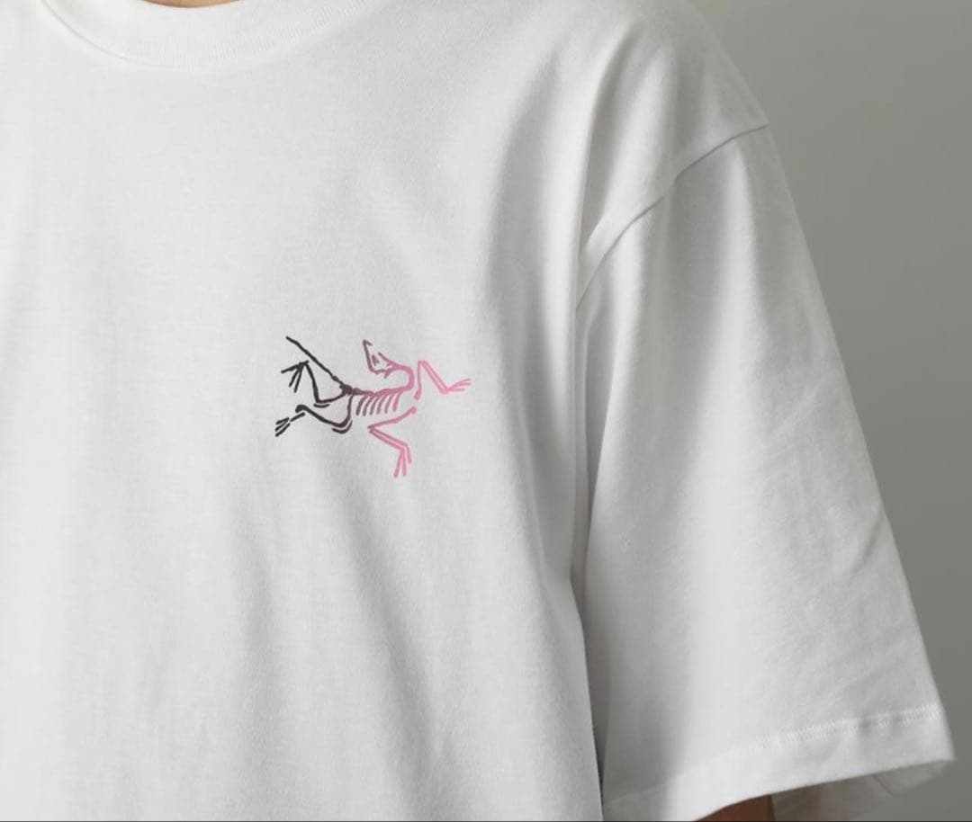 アークテリクス　メンズT