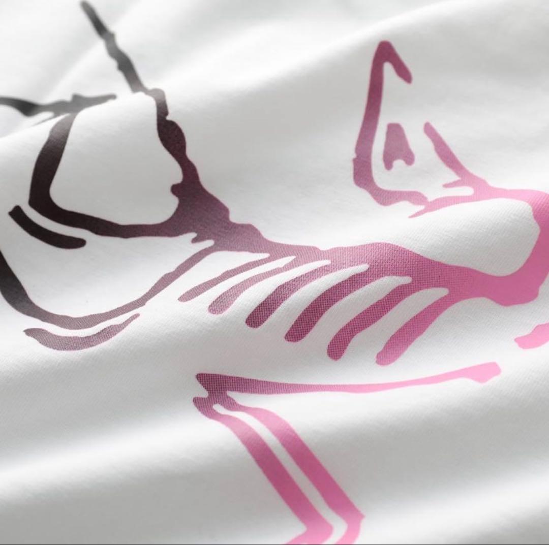 アークテリクス　メンズT