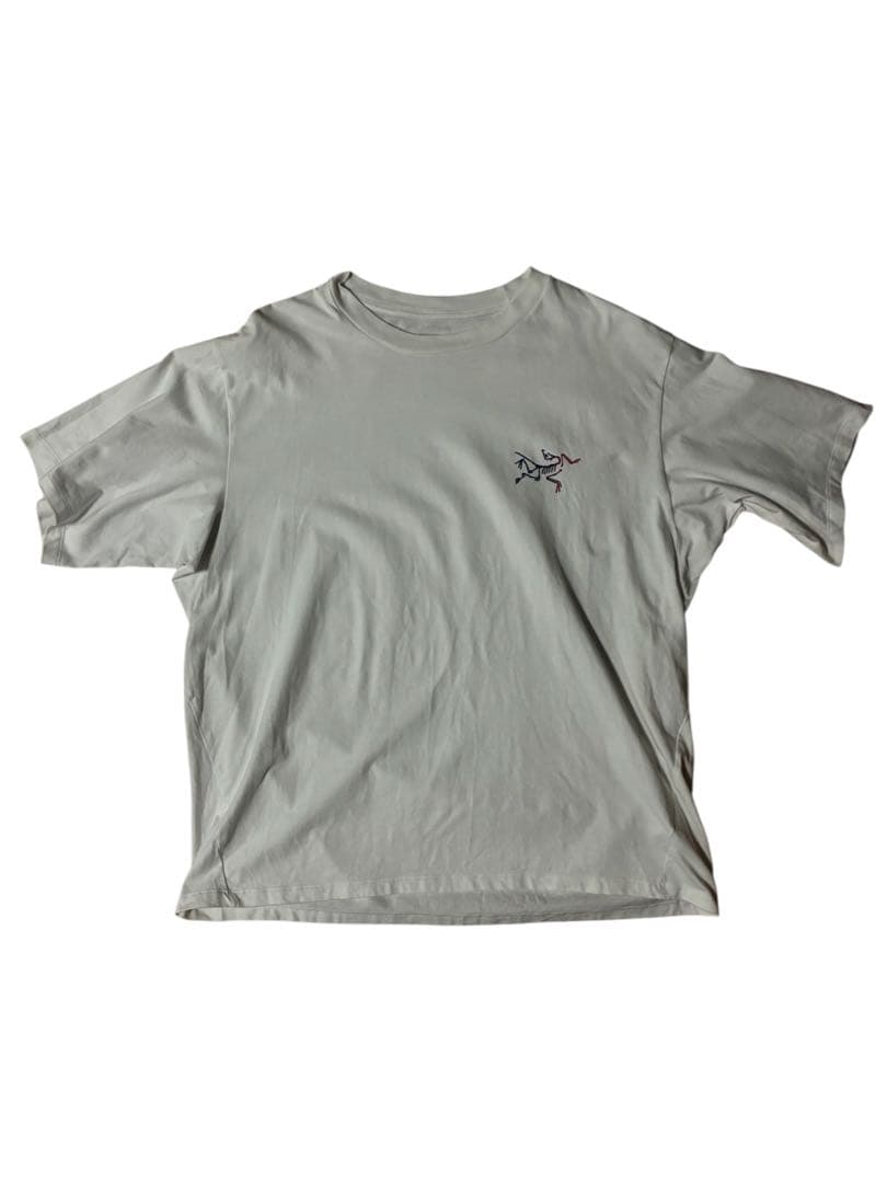 アークテリクス　メンズT