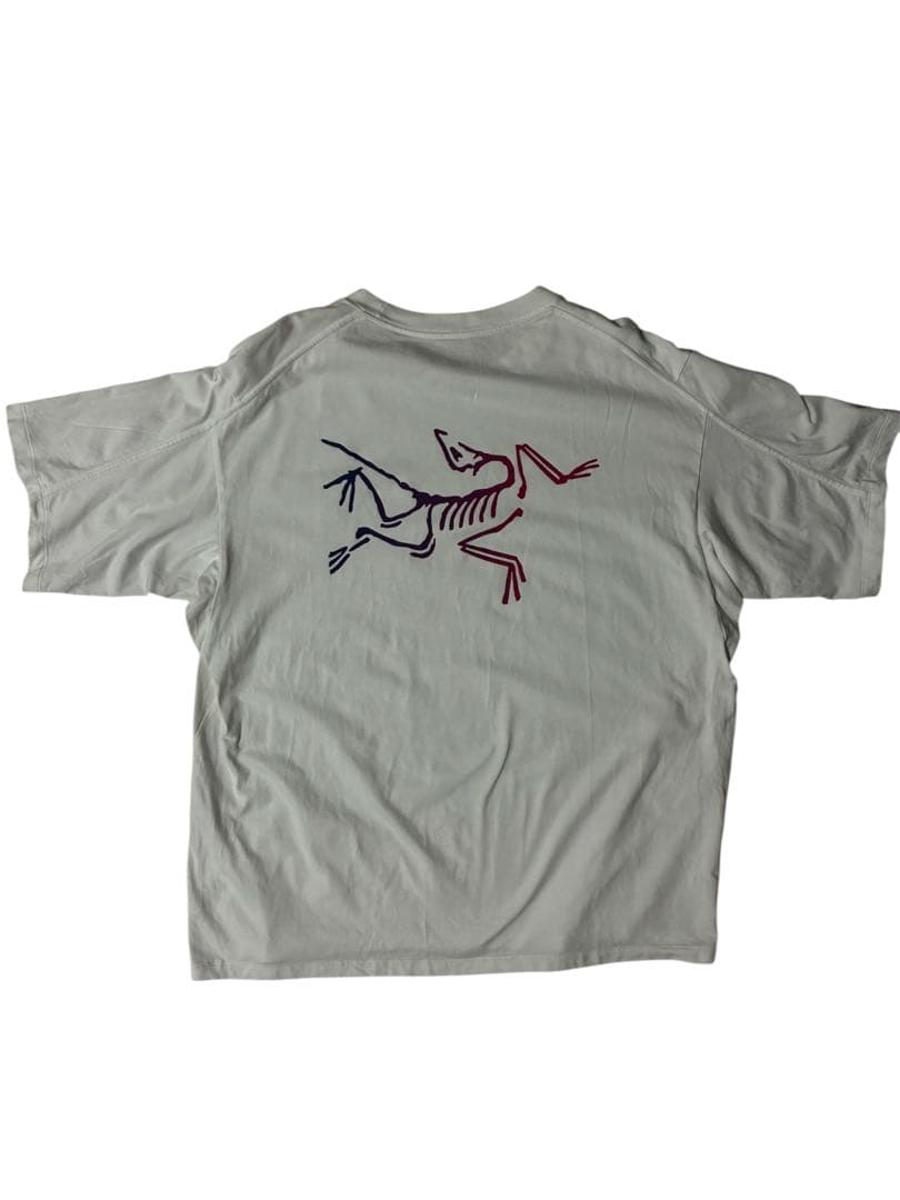 アークテリクス　メンズT