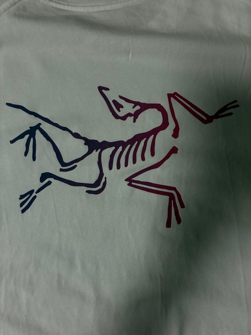 アークテリクス　メンズT