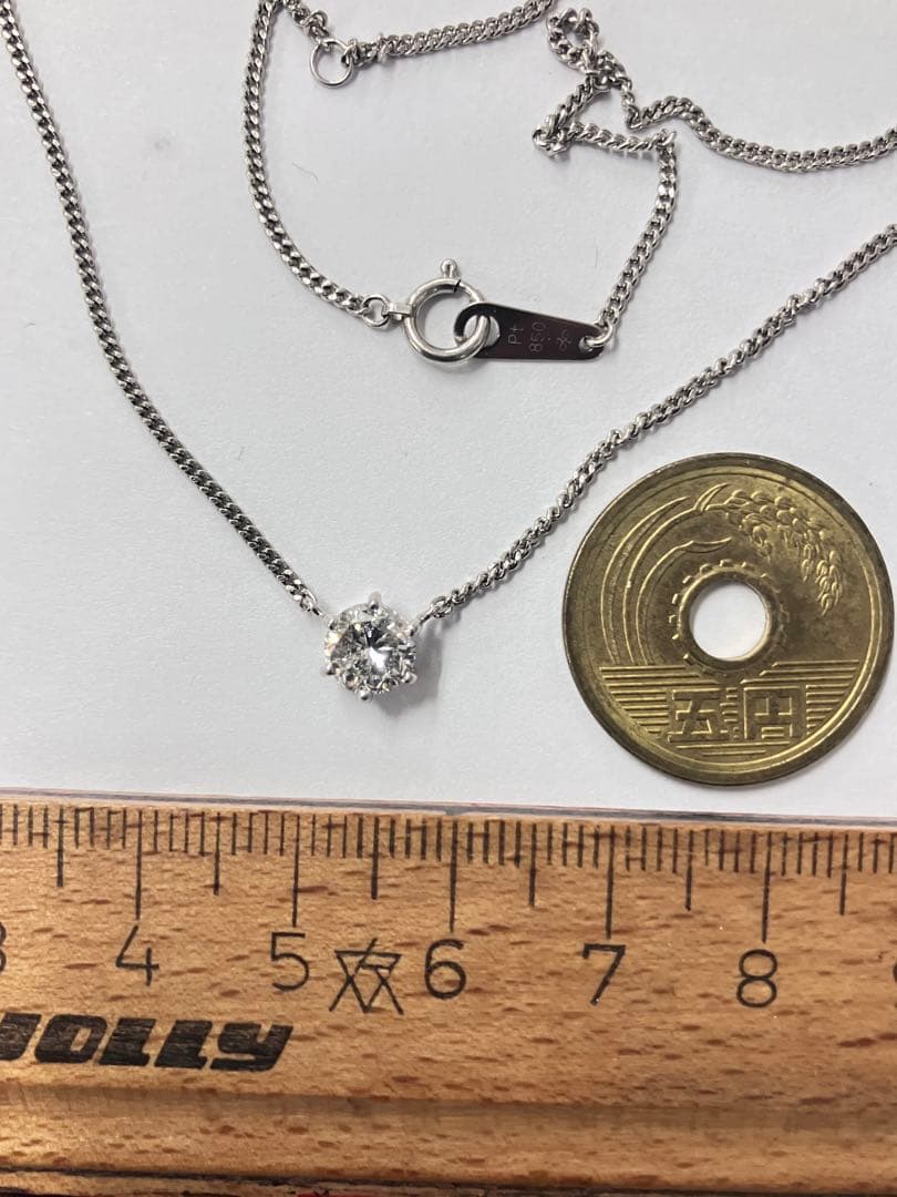 スーツプードル　