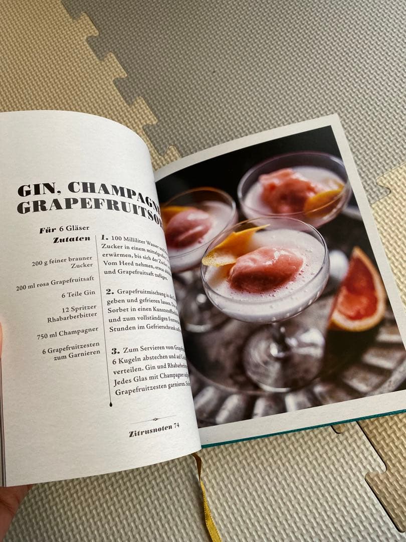 Das Barhandbuch Gin ドイツ カクテル 本