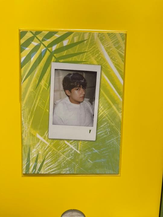 BTS  サマパケ 2017 テヒョン SUMMER PACKAGE