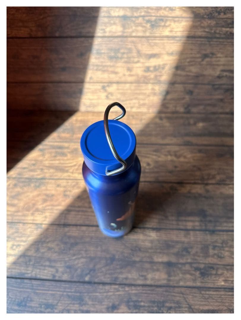 海外限定 スターバックス ステンレスボトル