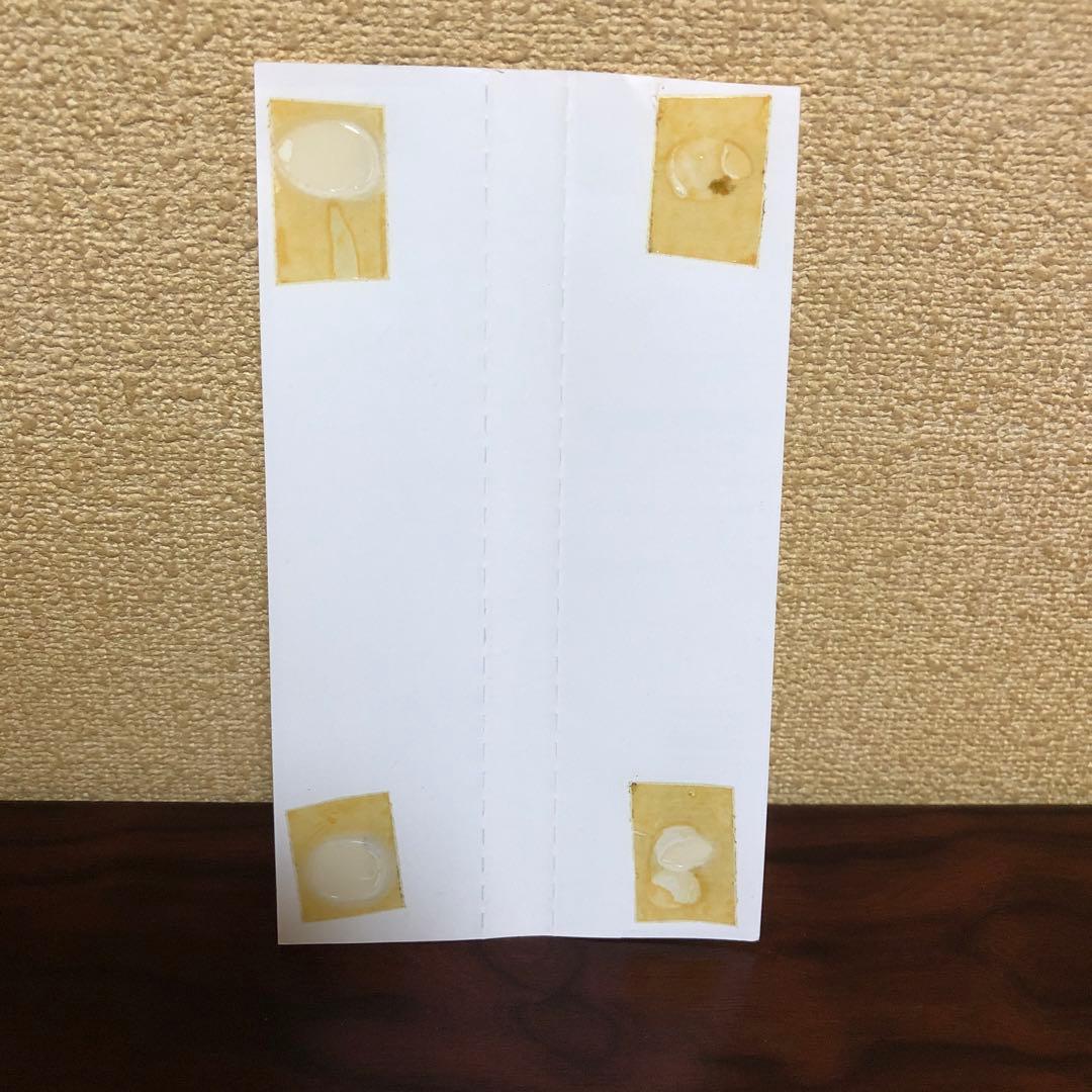 CD☆2枚／SOPHIE／ソフィー／マイ・ワールド／オンリー・リーズン／帯あり