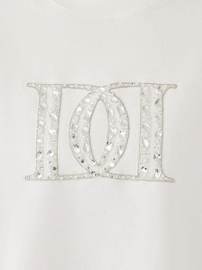 新品タグ付き ダーリッチ DDロゴビジュースウェットプルオーバー ブラック