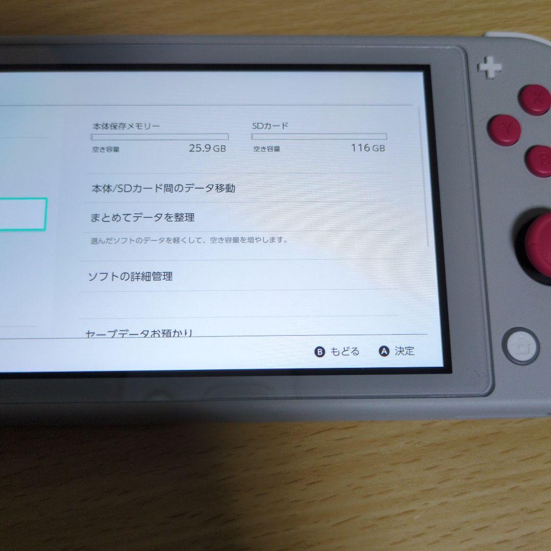 任天堂Switchライト本体(sdカード付き＆充電器付き)